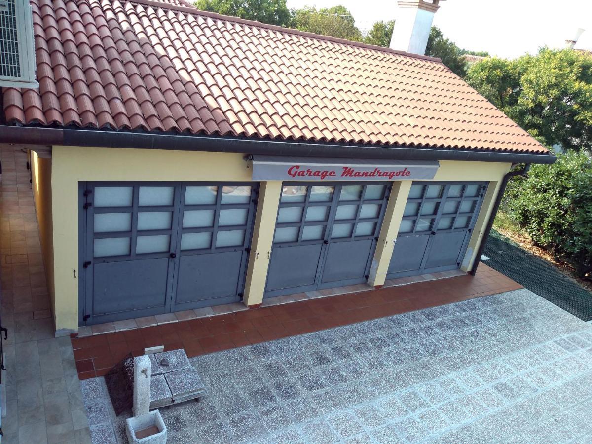 Le Mandragole B&B Roncade Exterior foto